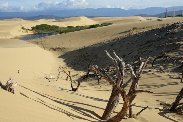 Medanos de Coro 2