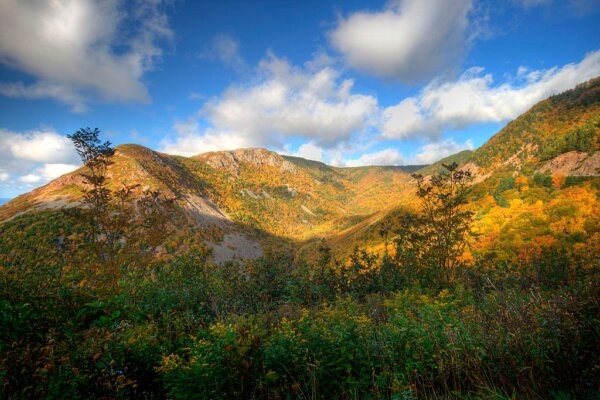 Parque Nacional Cape Breton Highlands 2