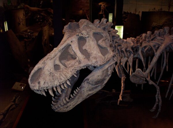 Parque de los Dinosaurios 3