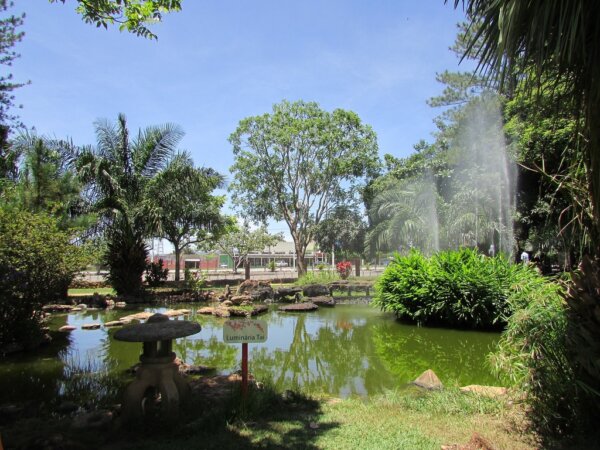 Caldas Novas 1