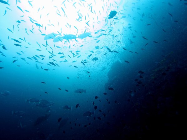 Islas Similan 4