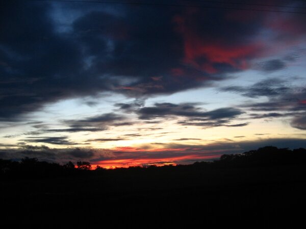 Arauca 4