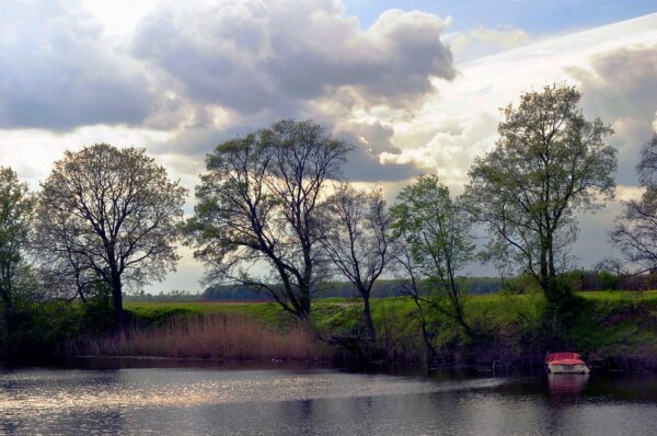 Vinkovci 4