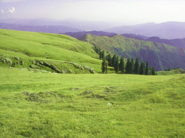 Toli Pir 1