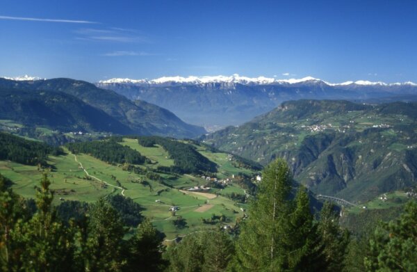 Alpe di Suisi 2