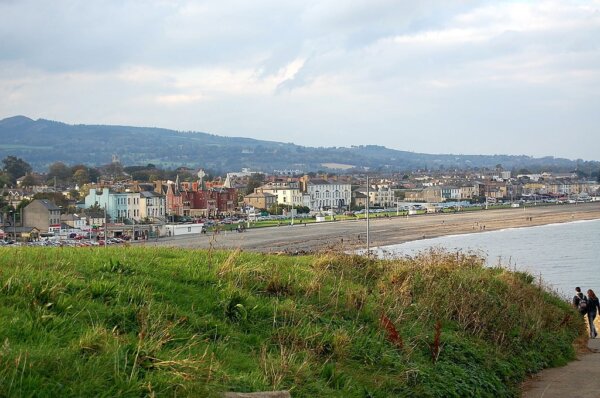 Bray 1