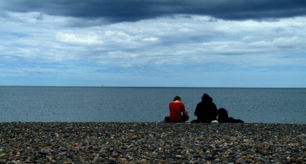 Bray 6