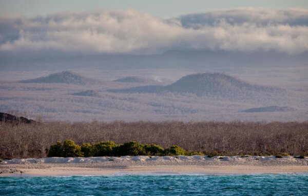 Isla de Santa Cruz 1