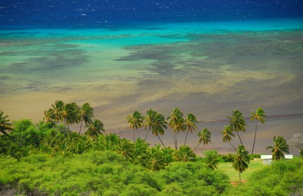 Maui 5