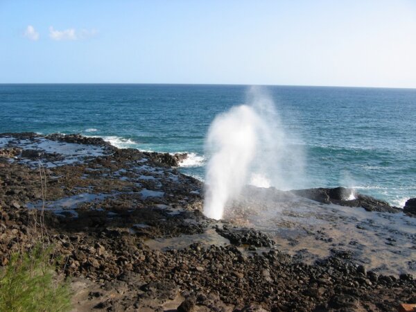 Naturaleza Kauai 3