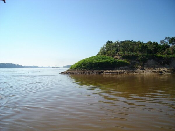 Pando 3