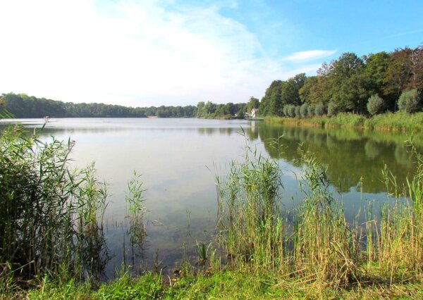 Weert 2
