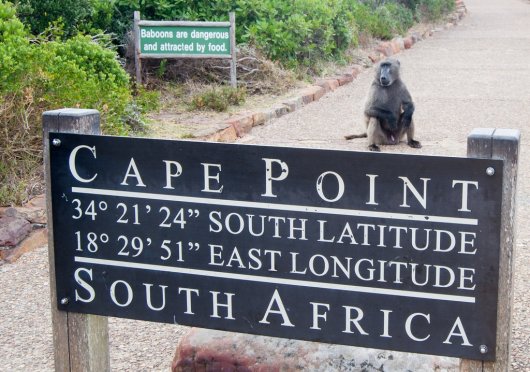 Cape Point 4