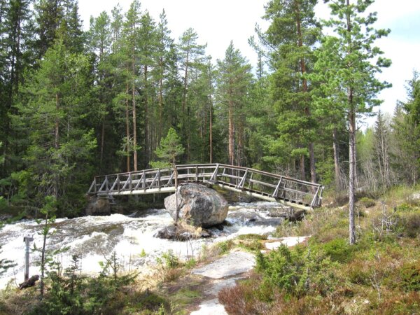 Hallingdal 2