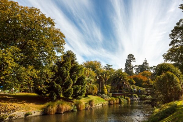 Jardines Botanicos de Christchurch 1