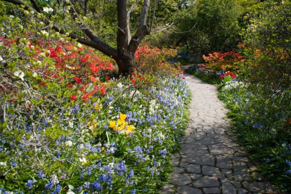 Jardines Botanicos de Christchurch 3