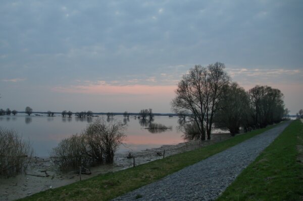 Parque Ujscie Warty 1