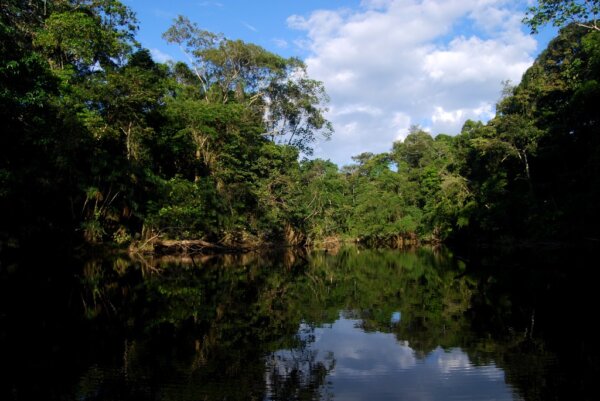 Parque Yasuni 3