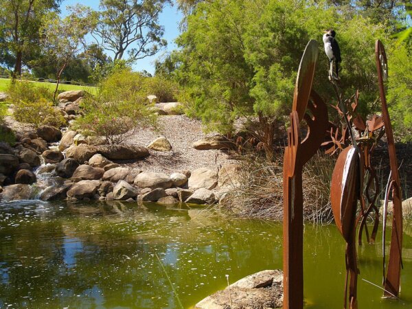 Jardin Botanico del Kings Park 3