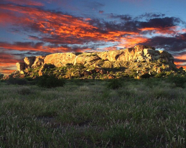 Mapungubwe 1