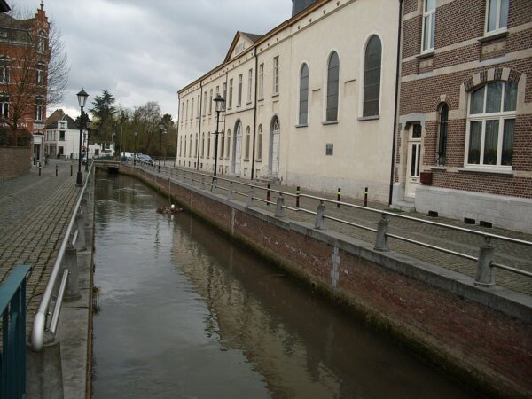 Zoutleeuw 2
