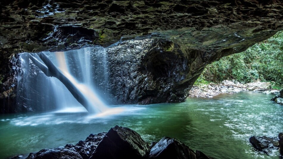 Parque Springbrook en Queensland