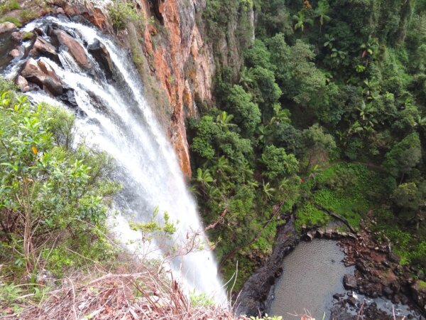 Parque Springbrook 3