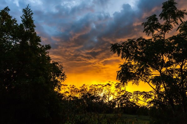 Parque Springbrook 5
