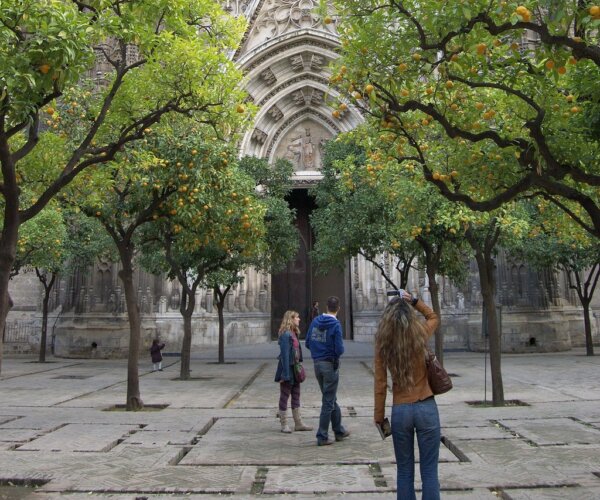 Patio de los Naranjos de la Catedral de Sevilla 5