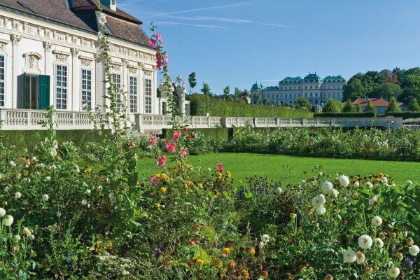 Belvedere 6